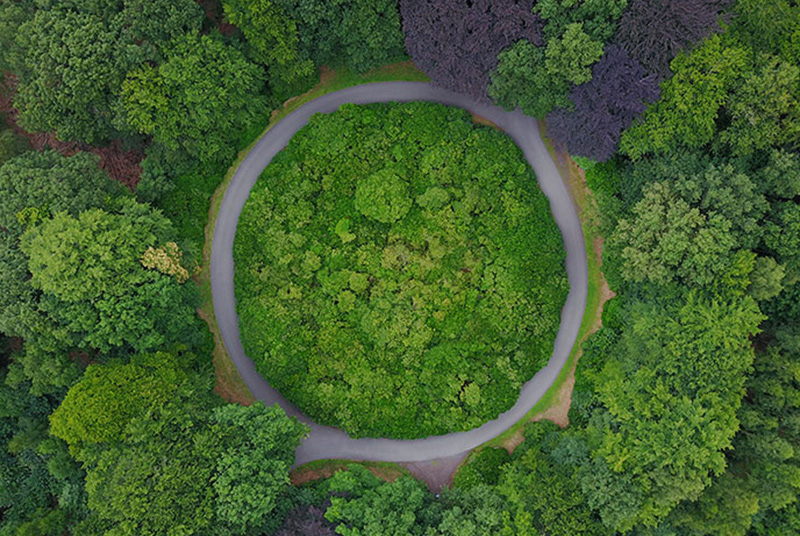 Máster Universitario en Economía Circular y Desarrollo Sostenible